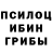 Галлюциногенные грибы мицелий ekibal