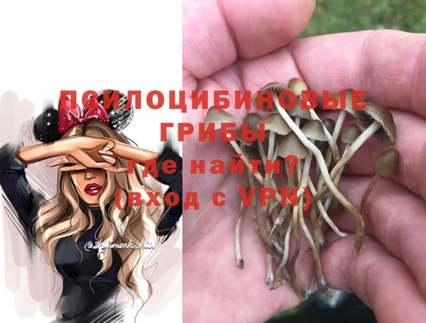 а пвп мука Аркадак