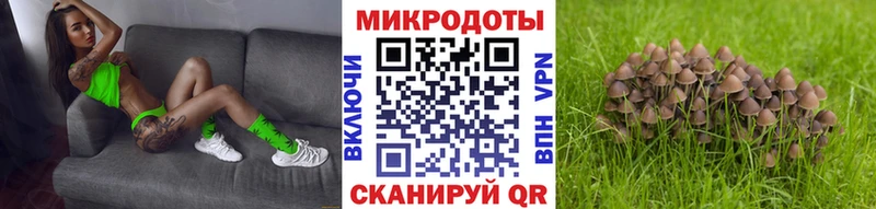 Галлюциногенные грибы мицелий Белебей