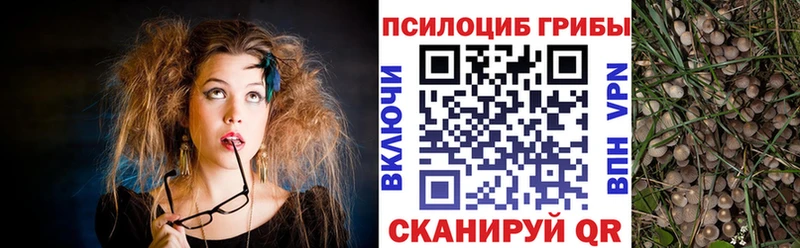Псилоцибиновые грибы Magic Shrooms  Белебей 